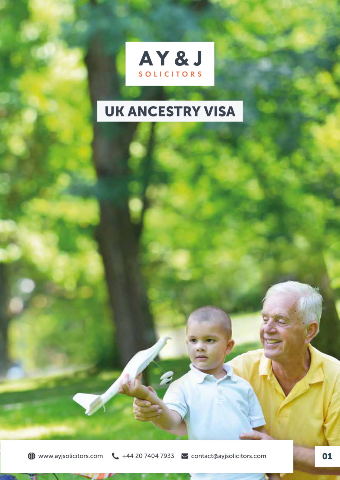 Settlement Under UK Ancestry Visa A Y & J Solicitors